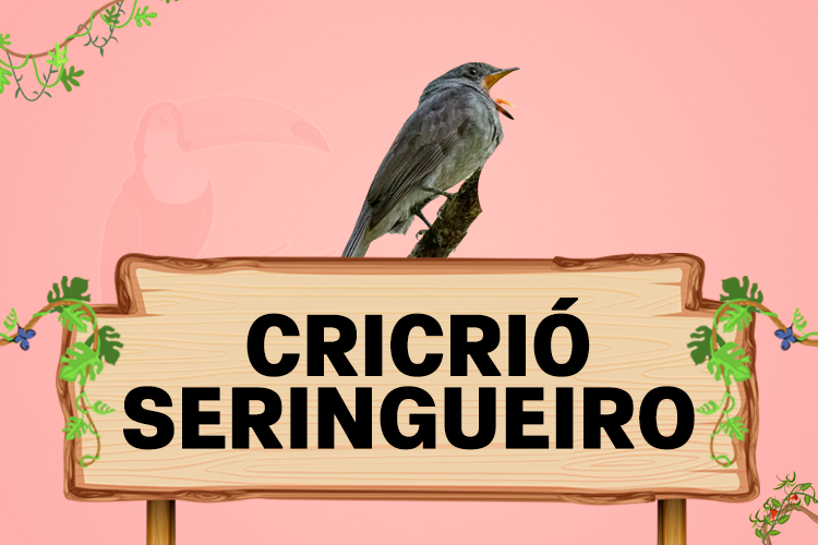 cricrió seringueiro