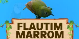 flautim marrom