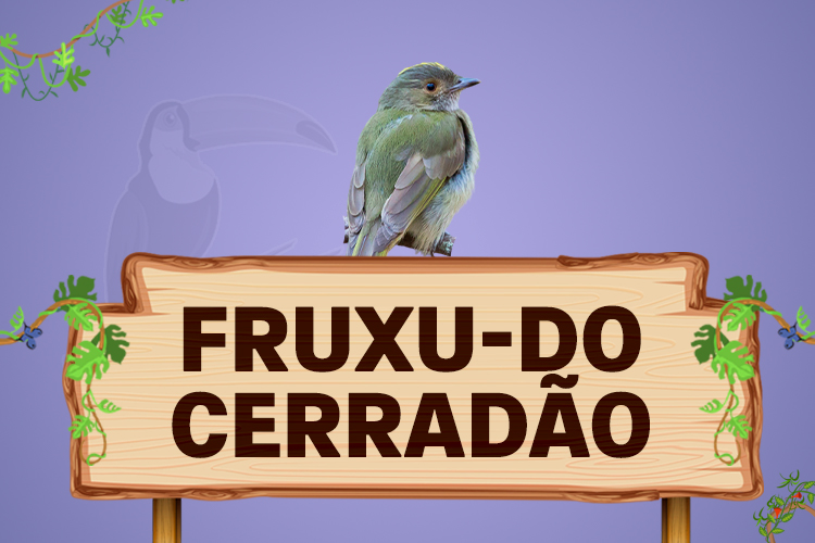 fruxu do cerradão