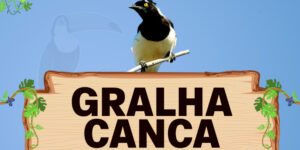 gralha canca