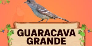 guaracava grande