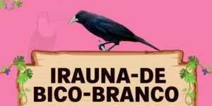 irauna de bico branco