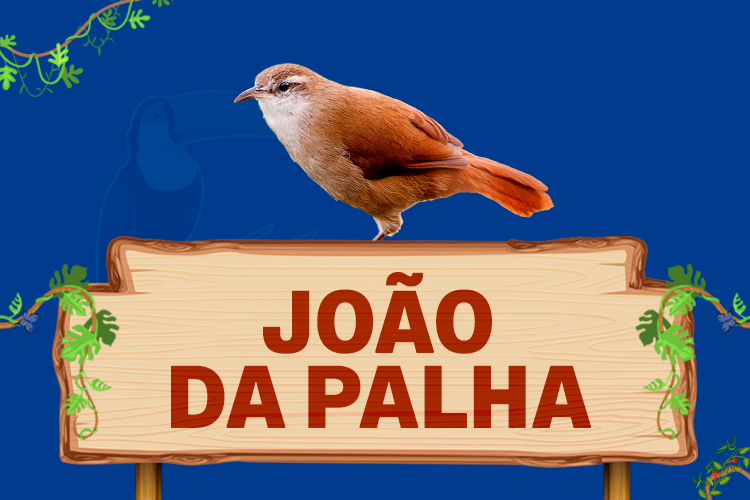 joão da palha