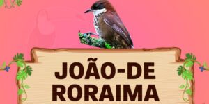 joao de roraima