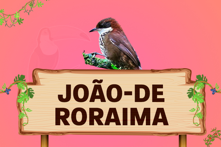 joao de roraima