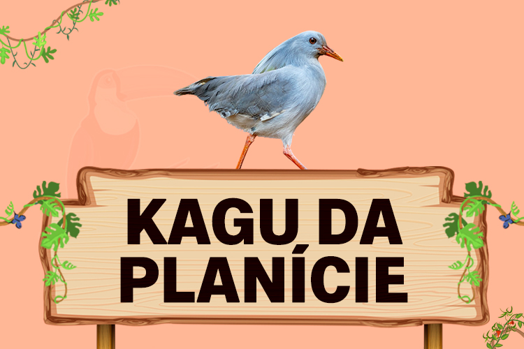 kagu da planície