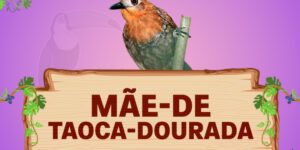 mãe de taoca dourada