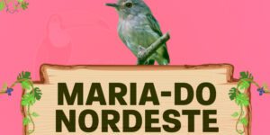 maria do nordeste