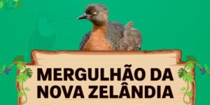 mergulhão da nova zelândia