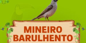 mineiro barulhento