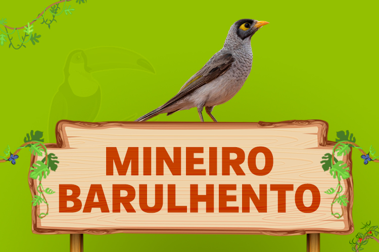 mineiro barulhento