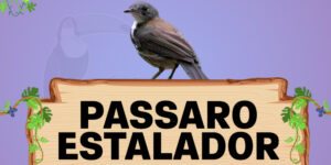 passado estalador