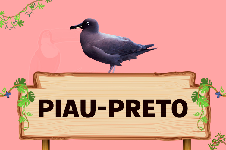 piau preto