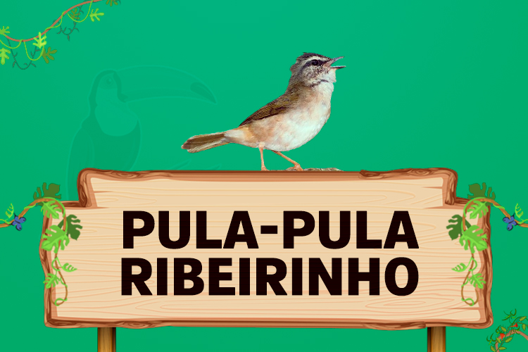 pula pula ribeirinho