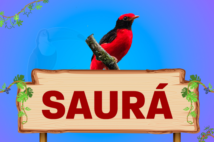 saurá