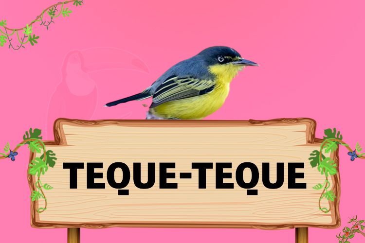 teque-teque