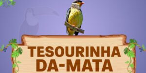 tesourinha da mata