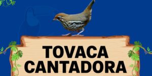 tovaca cantadora