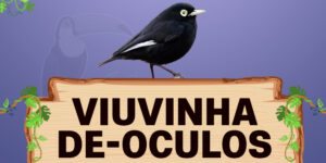 viuvinho de oculos