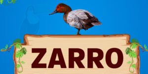 zarro