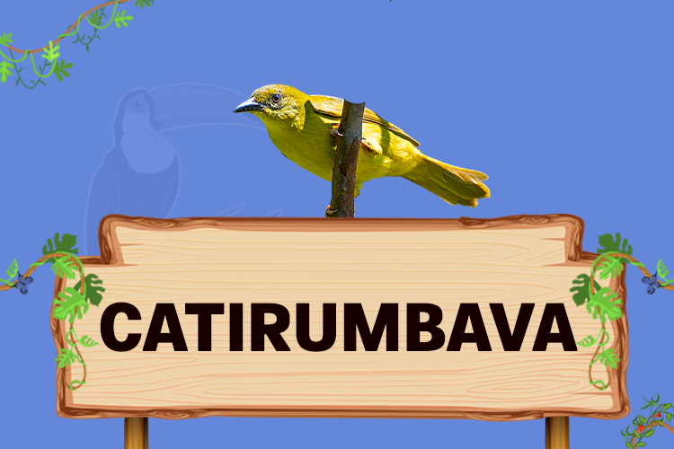 catirumbava