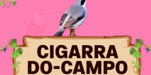 cigarro do campo