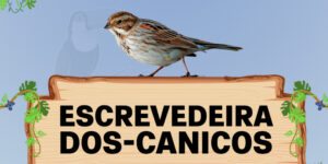 escrevedeira dos canicos