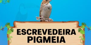 escrevedeira pigmeia