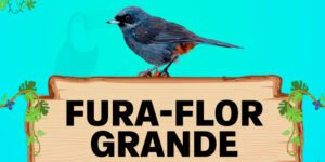 fura flor grande