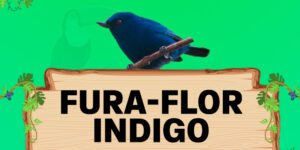 fura flor indigo