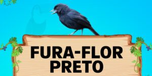 fura flor preto