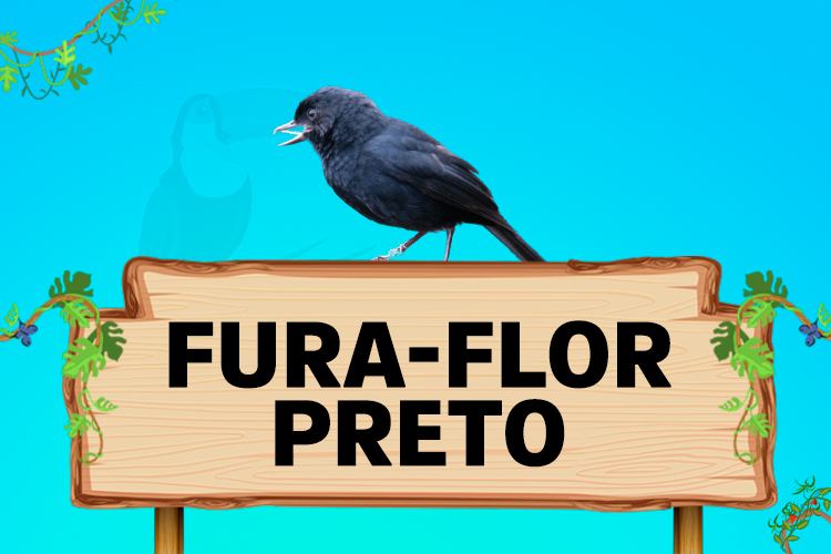 fura flor preto