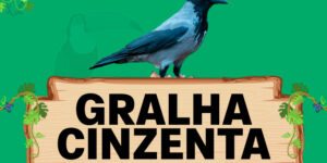 gralha cinzenta