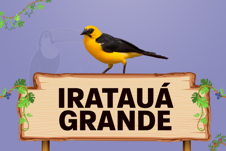 irataua grande