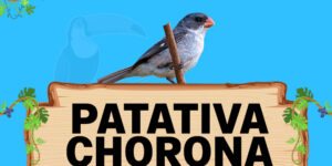 patativa chorona