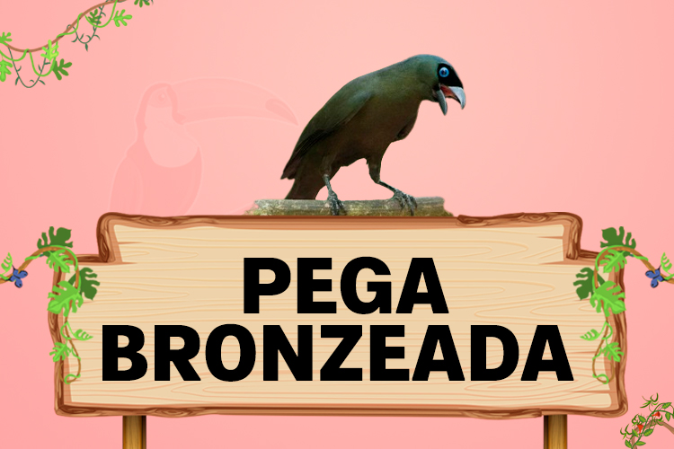 pega bronzeada