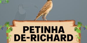 petinha de richard