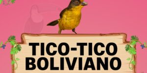 tico tico boliviano