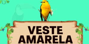 veste amarela