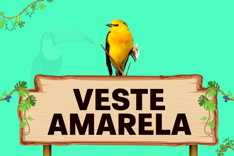 veste amarela