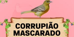 corrupiao mascarado