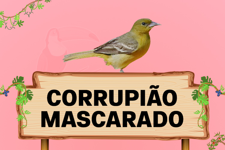 corrupiao mascarado