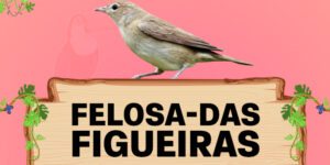 felosa das figueiras