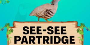 see-see partridge
