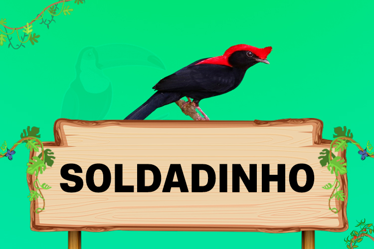 soldadinho