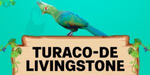 turaco de livingstone