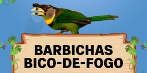 barbichas bico de fogo