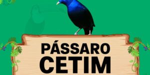 passaro cetim