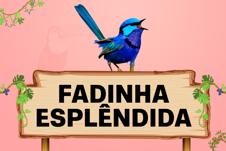 fadinha esplendida