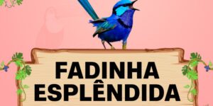 fadinha esplendida